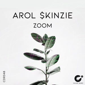 Arol & kinzie Zoom Mp3 Download
