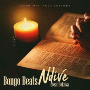 Bongo Beats – Ndive Ft. Bukeka Mp3 download