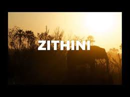 Mr Jazziq, Lady Du, Zuma & Busta 929 – Zithini (Prod. FIBBS) Mp3 download