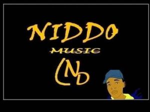 Niddo – Emaphupheni Ft. Seykho Mp3 download