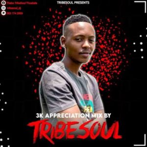TribeSoul – 3K Appreciation Mix Mp3 download