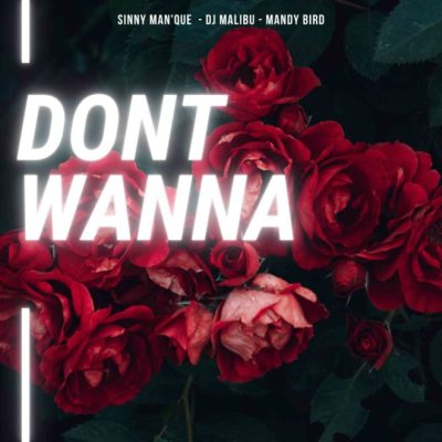 Sinny Man’Que, DJ Malibu & Mandy Bird – Don’t Wanna Mp3 download