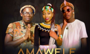 Zodumo – Amawele Ft. Msagazi & Dj Bhozo Mp3 download