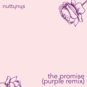 Nutty Nys – The Promise (Purple Remix) Mp3 download