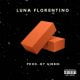 Luna Florentino - Bricks