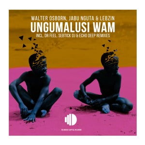 Walter Osborn, Jabu Nguta, Lebzin, Ungumalusi Wam Echo Deep Tribute Mix, mp3, download, datafilehost, toxicwap, fakaza