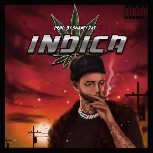 Download Full Album Chad Da Don Indica EP Zip Download