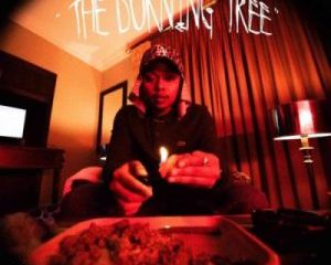 Download Full Album A-Reece The Burning Tree ll EP Zip Download