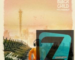 Download Full Album Abidoza Black Child Album Zip Download