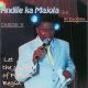 Andile KaMajola – Alive with Possibility Live