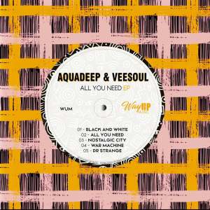 Aquadeep & Veesoul – All You Need (Dub Mix)