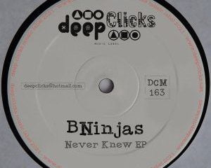 BNinjas – Never Knew (Original Mix)