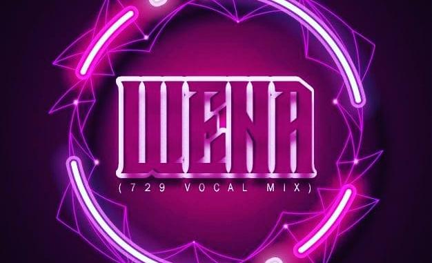 Dzo 729 & Guyu Pane – Wena (729 Vocal Mix) Ft. Sego M