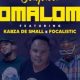 Julluca – Somaloma ft. Kabza De Small & Focalistic