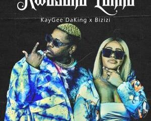 Kaygee DaKing & Bizizi – Inkwari ft. Just Bheki & TNS