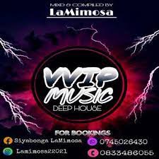 La mimosa – Vvip music