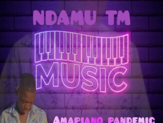 Ndamu TM Music – This Is We Celebrate Amapiano ft. Orinea & Andy De DJ