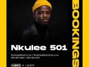 Nkulee 501 & TribeSoul – This & That (Tech Mix)