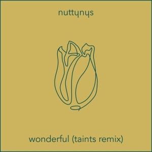 Nutty Nys – Wonderful (Taints Remix)