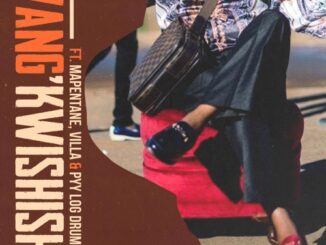 Tswyza – Wang’kwishisha ft. Villa, Mapentane & Pyy Logdrum King