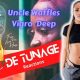 Vigro Deep & Uncle Waffles – 21 Tweets Ft. Uncle Kay & Various Artists