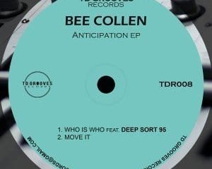 Bee Collen, Deep Sort 95 – Who Is Who (Original Mix)