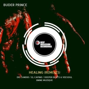 Buder Prince, Norah Jones – Healing (Deeper Beats & Veesoul Remix)