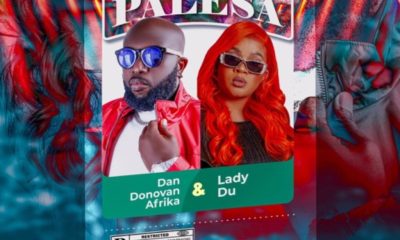 Dan Donovan Afrika – Palesa ft. Lady Du