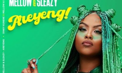 Dinky Kunene, Mellow & Sleazy – Areyeng