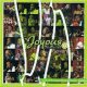 Joyous Celebration – Bayede