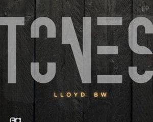 Lloyd BW – Make You My Queen (Original Mix)