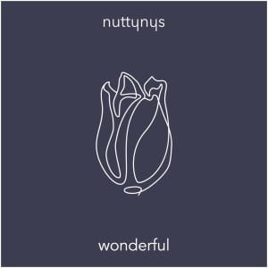 Nutty Nys – Wonderful (Original Mix)