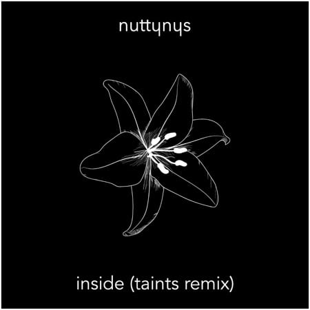 Nutty Nys – Inside (Taints Remix)