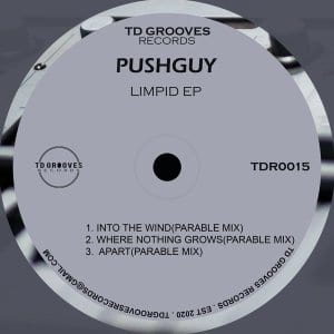 Pushguy – Apart (Original Mix)