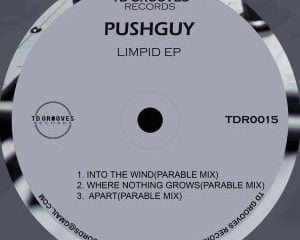 Pushguy – Apart (Original Mix)