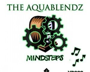 The AquaBlendz – Blu