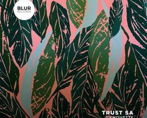 Trust SA – Mind Your Step