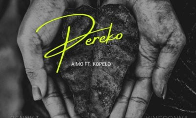 Aimo, Kopelo – Pereko Benny T Remix