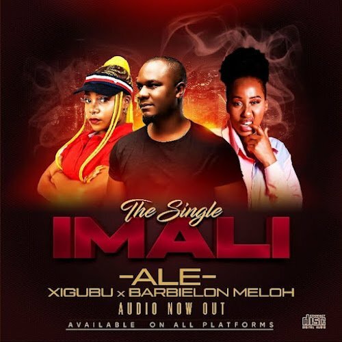 ALE – Imali ft. Meloh Barbielon & Xigubu