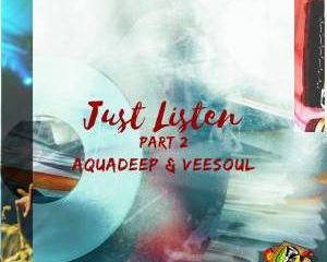 Aquadeep & Veesoul – Unexpected Visit (Dance Floor Mix)