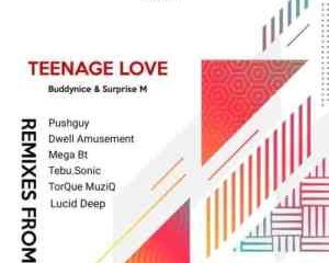 Buddynice & Surprise M – Teenage Love (Dwell Amusement Remix)