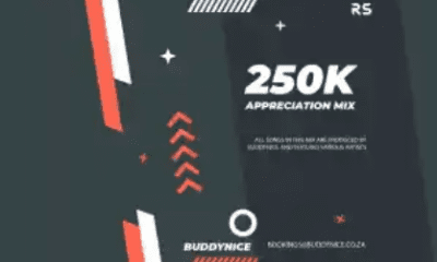 Buddynice – 250K Appreciation Mix