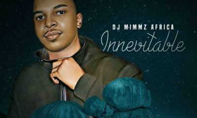 Dj Mimmz Africa – Inevitable