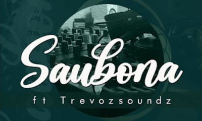 DJ Steve – Saubona ft. TrevozSounds (Song)