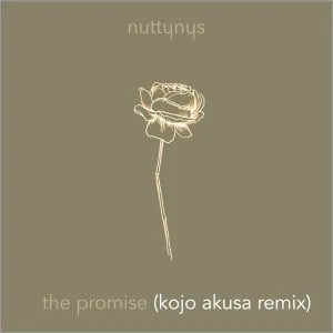 Nutty Nys – The Promise Kojo Akusa Remix
