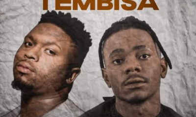 Real Nox & Kaygee Thevibe – Sgubu SA Tembisa Ft Vinox Musiq