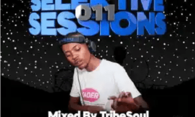 TribeSoul – Selektive Sessions 011 Mix