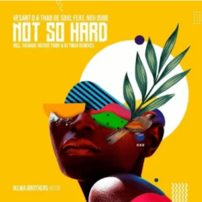 Vesant Q & Thab De Soul ft Neo Dube – Not So Hard