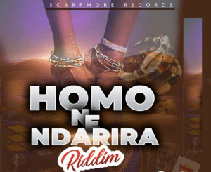 Seh Calaz – Ndichichema (Homo Ne Ndarira Riddim)