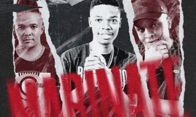 BL Zero, Lebzito & Kamo the Vocalist  ft. Major League Djz & DJ Karri – Marinate (song)